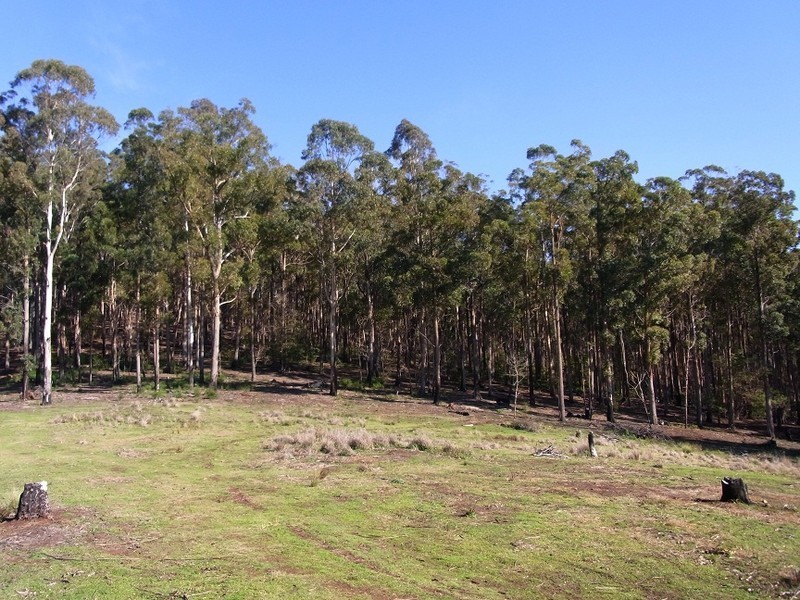 LOT 242 FLORABUNDA LANE, Nethercote NSW 2549