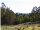LOT 242 FLORABUNDA LANE, Nethercote NSW 2549