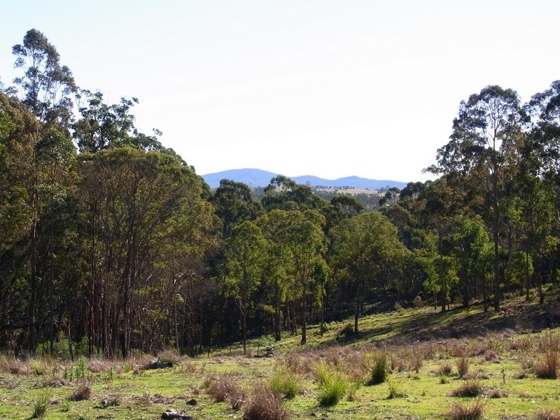 LOT 242 FLORABUNDA LANE, Nethercote NSW 2549