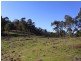 LOT 242 FLORABUNDA LANE, Nethercote NSW 2549