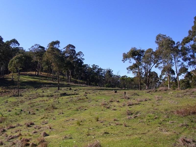 LOT 242 FLORABUNDA LANE, Nethercote NSW 2549