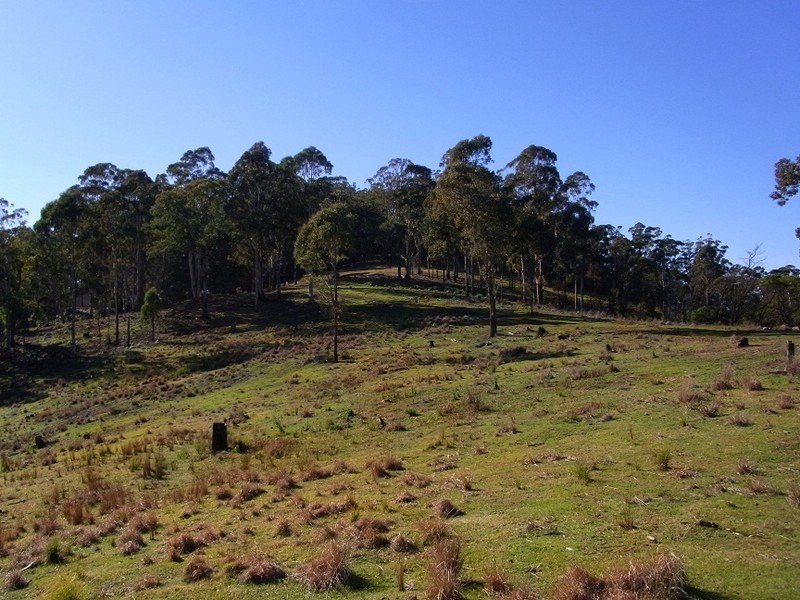 LOT 242 FLORABUNDA LANE, Nethercote NSW 2549