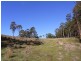 LOT 242 FLORABUNDA LANE, Nethercote NSW 2549