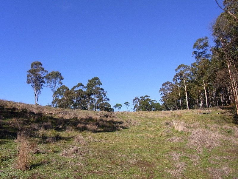 LOT 242 FLORABUNDA LANE, Nethercote NSW 2549