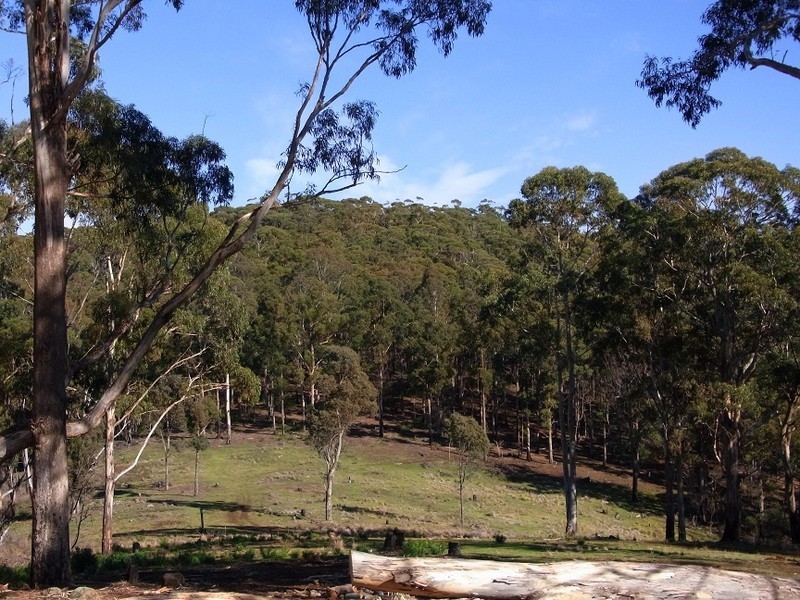 VARIOUS FLORABUNDA LANE, Nethercote NSW 2549