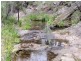 350 BACK CREEK ROAD, Lochiel NSW 2549