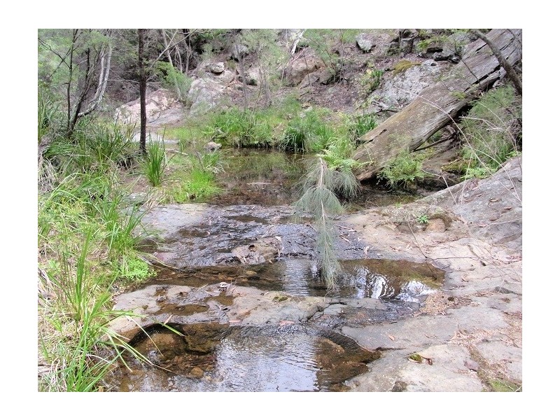 350 BACK CREEK ROAD, Lochiel NSW 2549