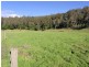 Lot 3 Kiah Store road, Kiah NSW 2551