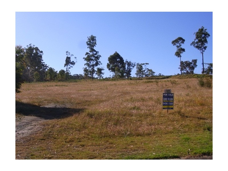 LOT 330 TRUMPETER AVENUE, Eden NSW 2551