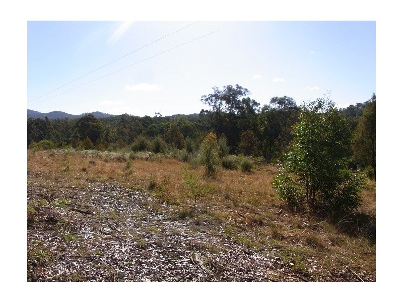 LOT 21 MT DARRAGH ROAD, Lochiel NSW 2549