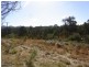 LOT 21 MT DARRAGH ROAD, Lochiel NSW 2549