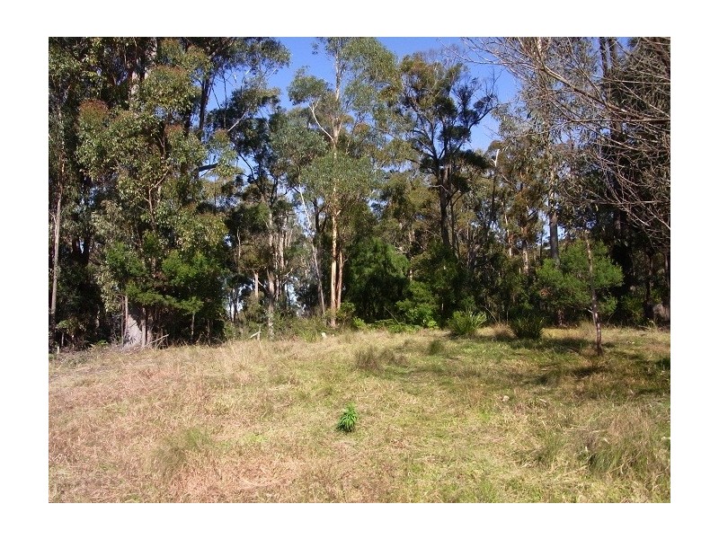 LOT 21 MT DARRAGH ROAD, Lochiel NSW 2549