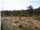 LOT 21 MT DARRAGH ROAD, Lochiel NSW 2549