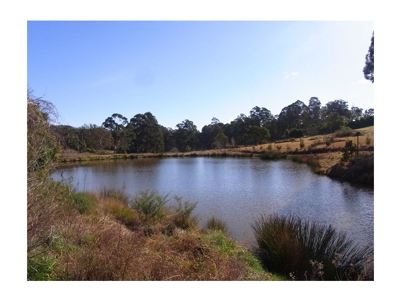 30 FLORABUNDA LANE, Nethercote NSW 2549