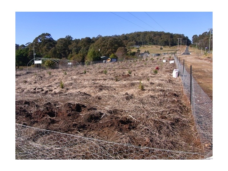 30 FLORABUNDA LANE, Nethercote NSW 2549