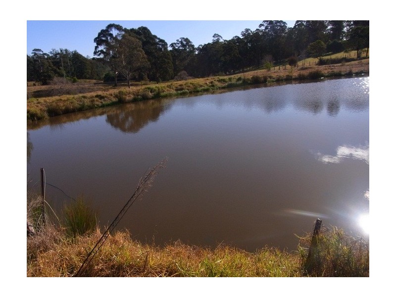 30 FLORABUNDA LANE, Nethercote NSW 2549