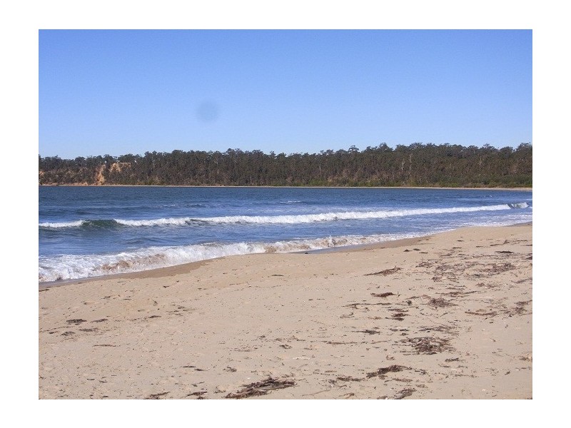 SITE 6  TWOFOLD BAY BEACH RESORT, Eden NSW 2551