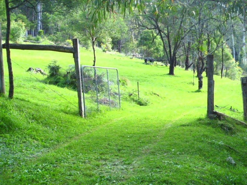 369 DEVILS HOLE ROAD, Wyndham NSW 2550