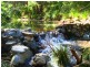 369 DEVILS HOLE ROAD, Wyndham NSW 2550