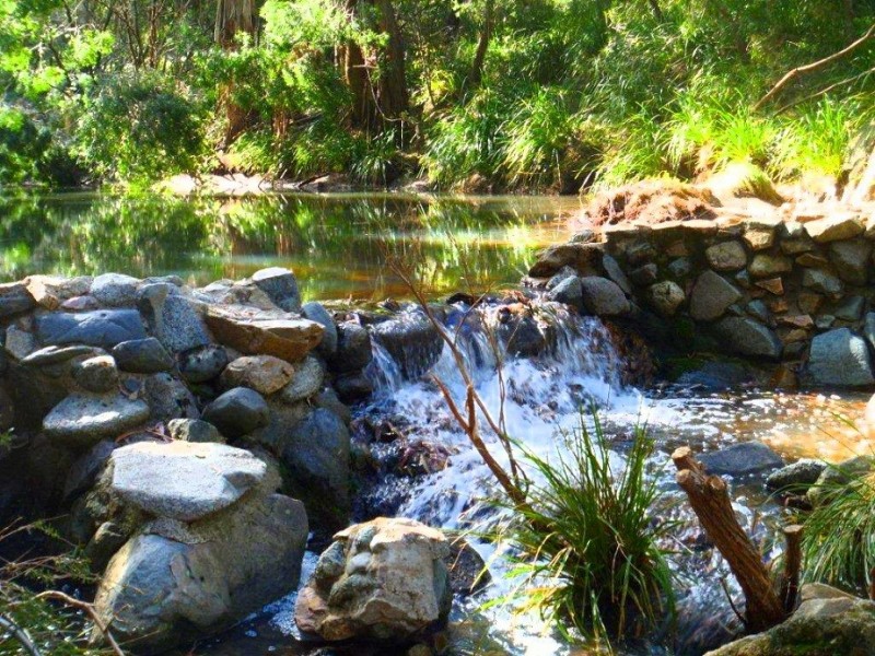 369 DEVILS HOLE ROAD, Wyndham NSW 2550