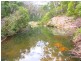 369 DEVILS HOLE ROAD, Wyndham NSW 2550