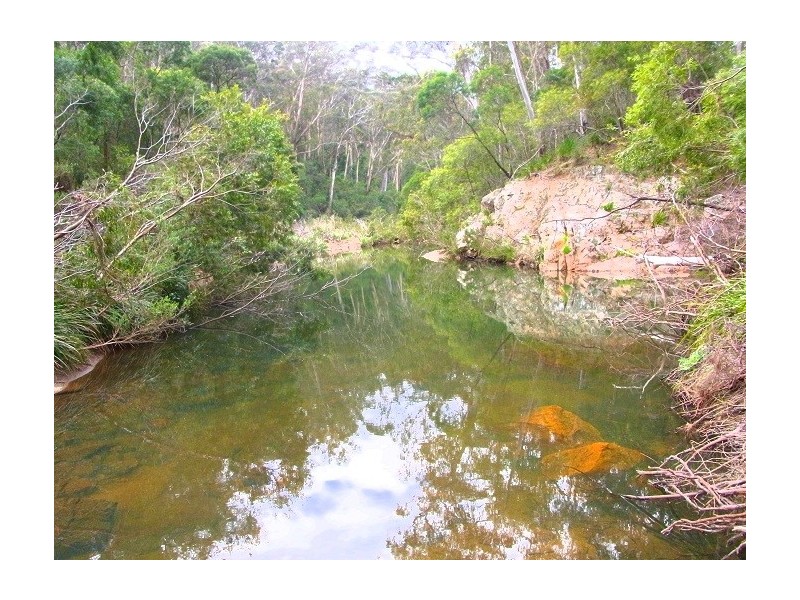 369 DEVILS HOLE ROAD, Wyndham NSW 2550