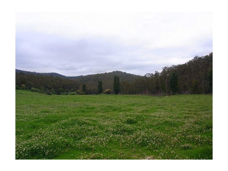 1746 LOWER TOWAMBA ROAD, Kiah NSW 2551
