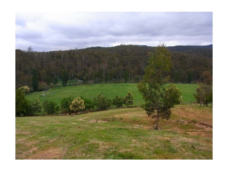 1746 LOWER TOWAMBA ROAD, Kiah NSW 2551