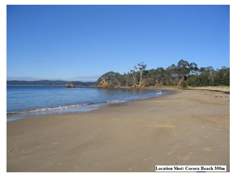 59 Ida Rodd Drive, Eden NSW 2551