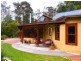 369 Devils Hole Road, Wyndham NSW 2550