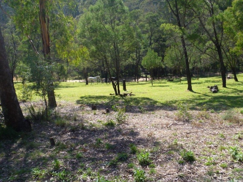 369 Devils Hole Road, Wyndham NSW 2550