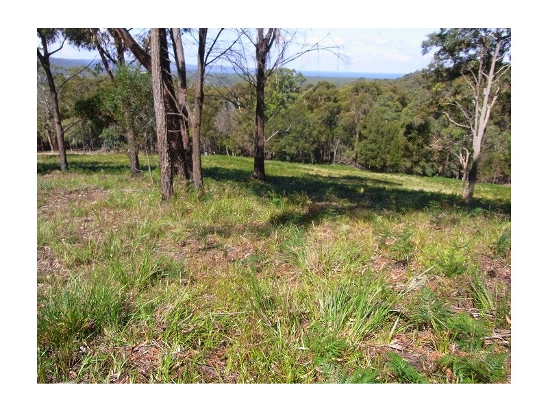 LOT 4 ARUNDA LANE, Wonboyn NSW 2551