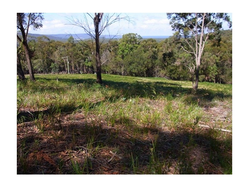 LOT 4 ARUNDA LANE, Wonboyn NSW 2551