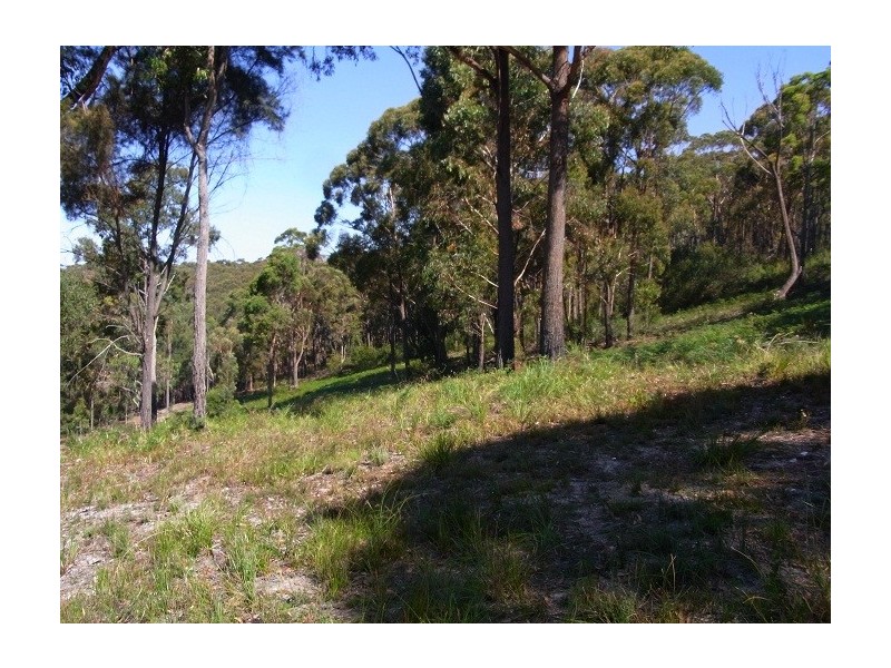 LOT 4 ARUNDA LANE, Wonboyn NSW 2551
