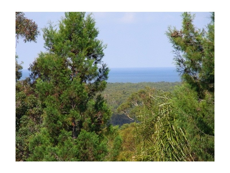 LOT 2 ARUNDA LANE, Wonboyn NSW 2551