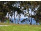 Lot 228  Marlin Ave, Eden NSW 2551
