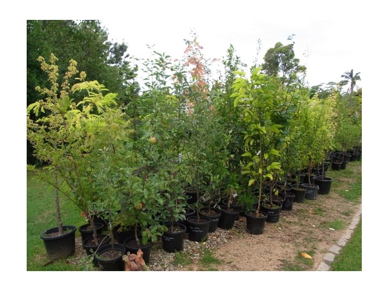 56 Princes Highway, Eden NSW 2551