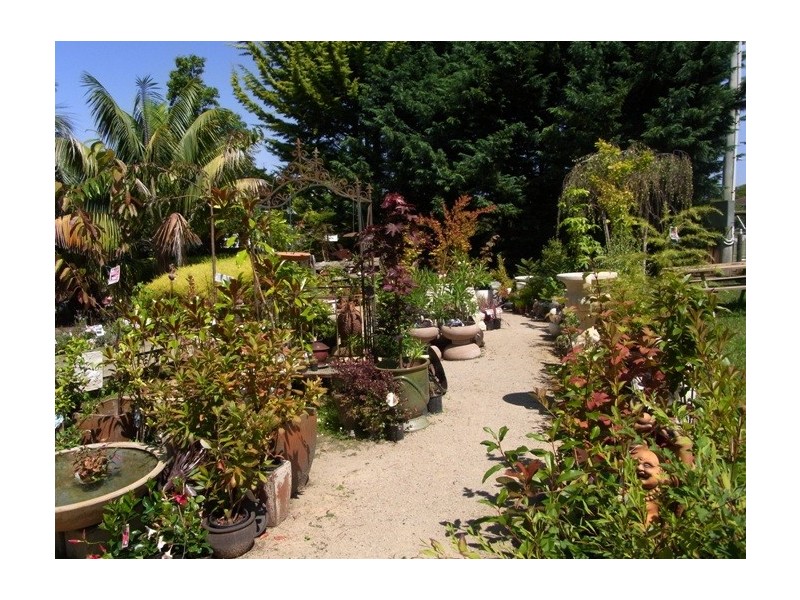 56 Princes Highway, Eden NSW 2551