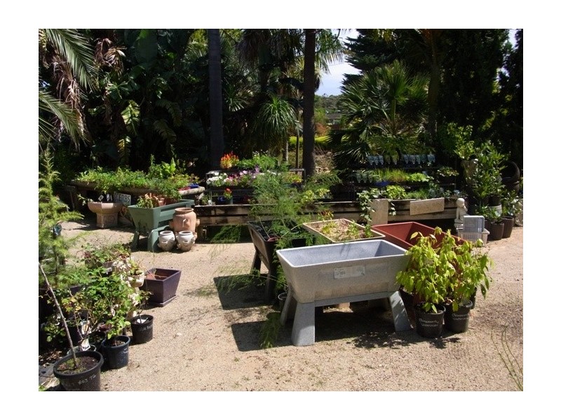 56 Princes Highway, Eden NSW 2551