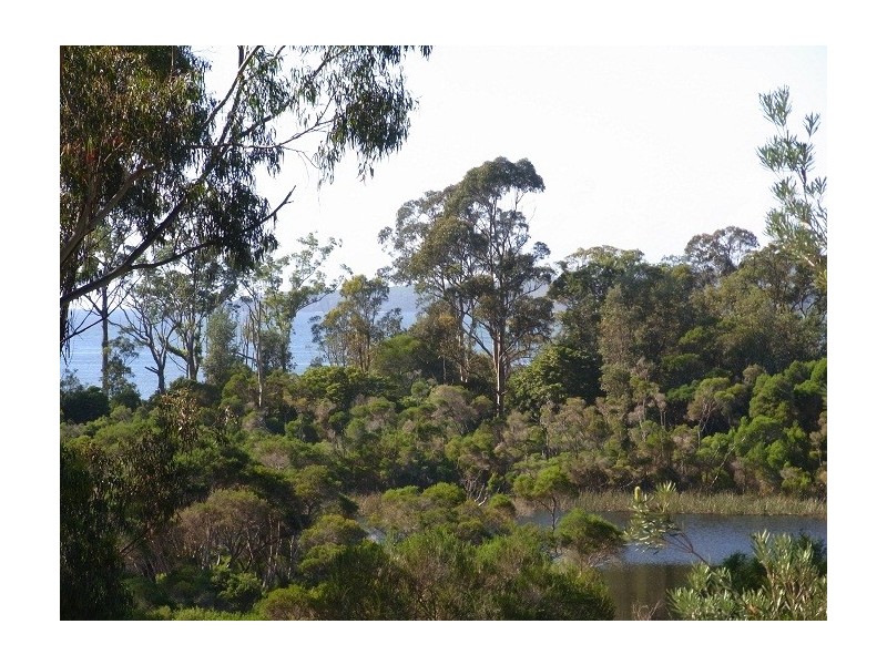 9 Cosham Close, Eden NSW 2551