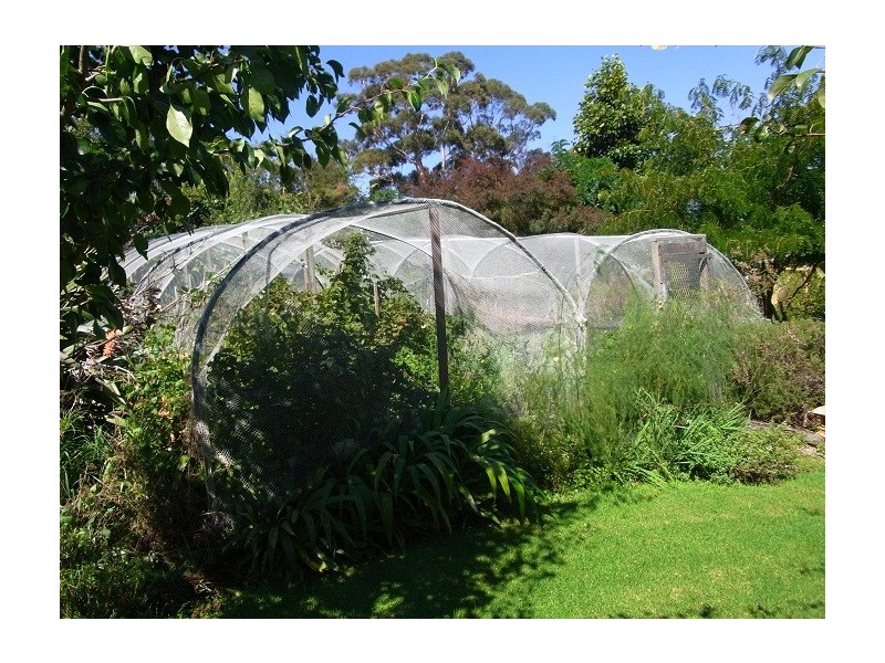 49 GOVERNMENT ROAD, Eden NSW 2551