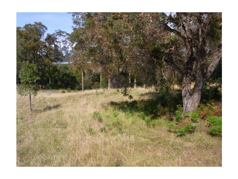 Lot 104 Kingfisher Circuit, Eden NSW 2551