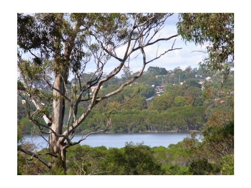 Lot 104 Kingfisher Circuit, Eden NSW 2551