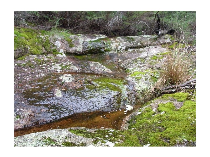 LOT 963 MT DARRAGH ROAD, Lochiel NSW 2549