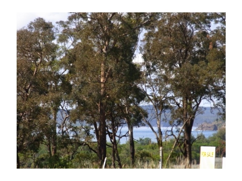 Lot 220 Marlin Ave, Eden NSW 2551