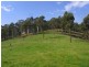 LOT 243 FLORABUNDA LANE, Nethercote NSW 2549