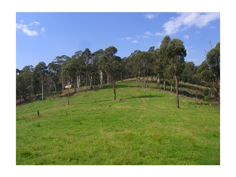 LOT 243 FLORABUNDA LANE, Nethercote NSW 2549
