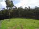 LOT 243 FLORABUNDA LANE, Nethercote NSW 2549