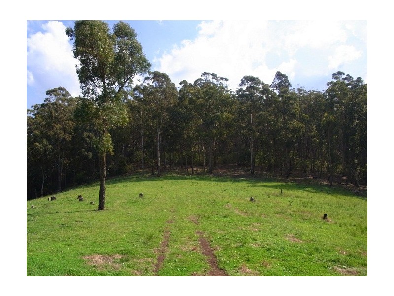 LOT 243 FLORABUNDA LANE, Nethercote NSW 2549