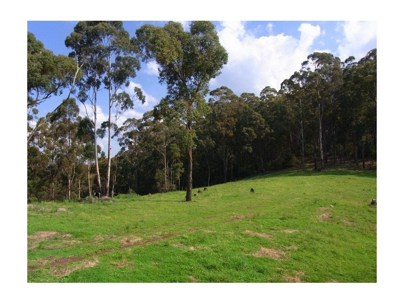 LOT 243 FLORABUNDA LANE, Nethercote NSW 2549